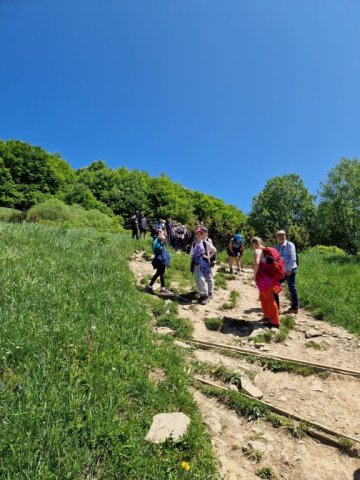 b_1024_768_0_00_images_2022_2023_SKKT_PTTK_rajd_czerwiec_352339272_215437514642845_4443813961255838396_n